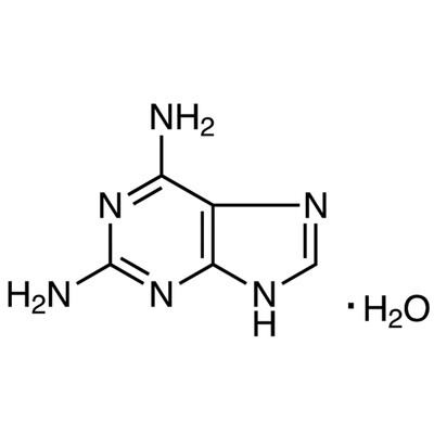 2,6-Diaminopurine Monohydrate&gt;97.0%(HPLC)(T)5g