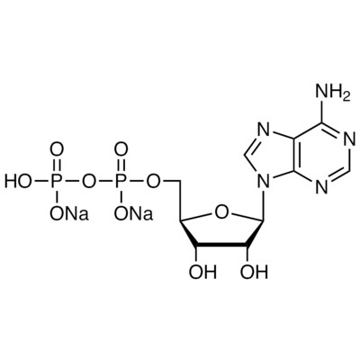 Adenosine 5&#39;-Diphosphate Disodium Salt&gt;98.0%(N)100mg