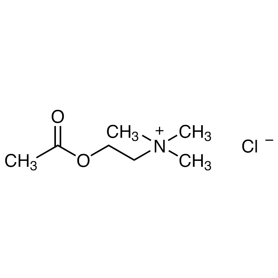 Acetylcholine Chloride&gt;98.0%(T)500g