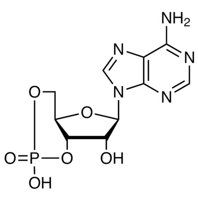 Adenosine 3&#39;,5&#39;-Cyclic Monophosphate&gt;99.0%(HPLC)1g