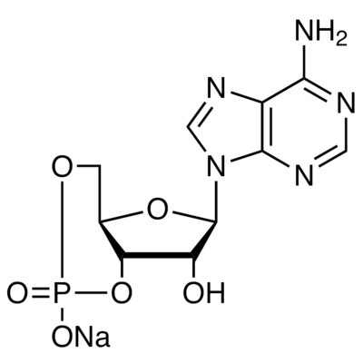 Adenosine 3&#39;,5&#39;-Cyclic Monophosphate Sodium Salt&gt;98.0%(HPLC)100mg