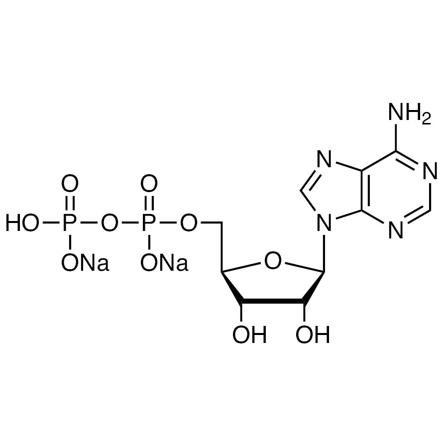 Adenosine 5&#39;-Diphosphate Disodium Salt&gt;98.0%(N)1g