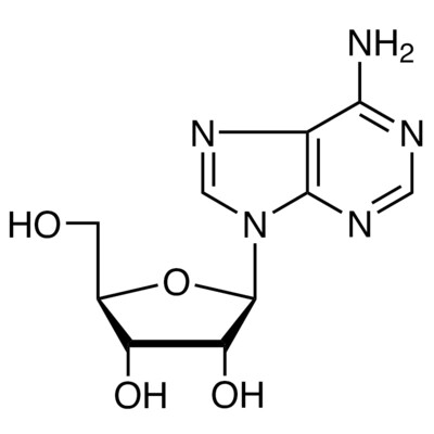 Adenosine&gt;99.0%(HPLC)(T)25g
