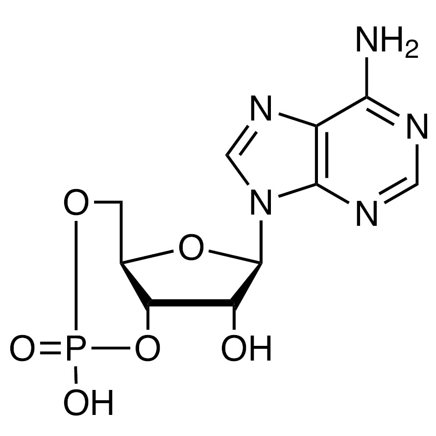 Adenosine 3&#39;,5&#39;-Cyclic Monophosphate&gt;99.0%(HPLC)5g