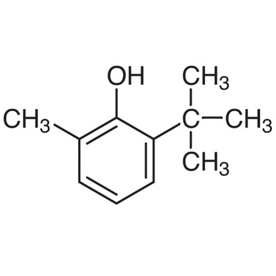 6-tert-Butyl-o-cresol&gt;99.0%(GC)500g