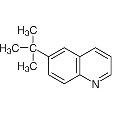6-tert-Butylquinoline&gt;98.0%(GC)(T)1g