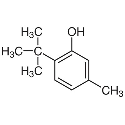 6-tert-Butyl-m-cresol&gt;97.0%(GC)25g