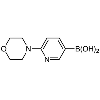 6-(Morpholino)pyridine-3-boronic Acid (contains varying amounts of Anhydride)1g