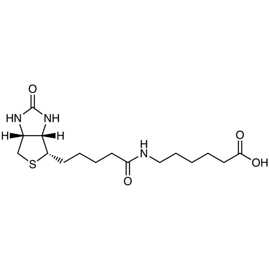 6-Biotinamidohexanoic Acid&gt;97.0%(HPLC)(T)100mg