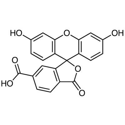 6-Carboxyfluorescein&gt;97.0%(HPLC)100mg