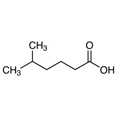 5-Methylhexanoic Acid&gt;98.0%(T)(GC)25mL