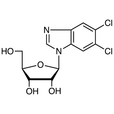 5,6-Dichlorobenzimidazole 1-beta-D-Ribofuranoside&gt;98.0%(HPLC)(N)100mg
