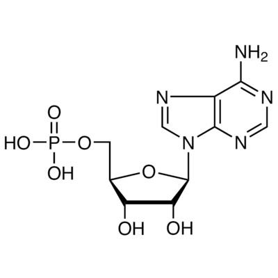 5&#39;-Adenylic Acid&gt;98.0%(HPLC)(T)1g