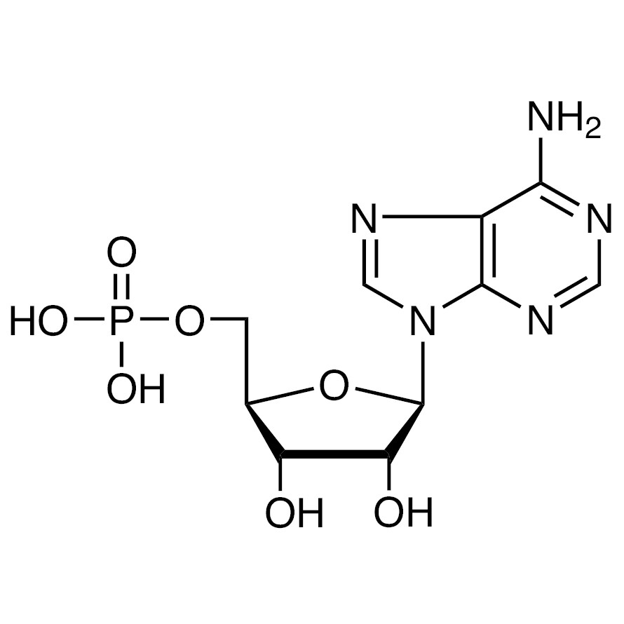 5&#39;-Adenylic Acid&gt;98.0%(HPLC)(T)25g