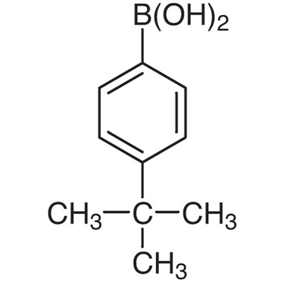 4-tert-Butylphenylboronic Acid (contains varying amounts of Anhydride)25g