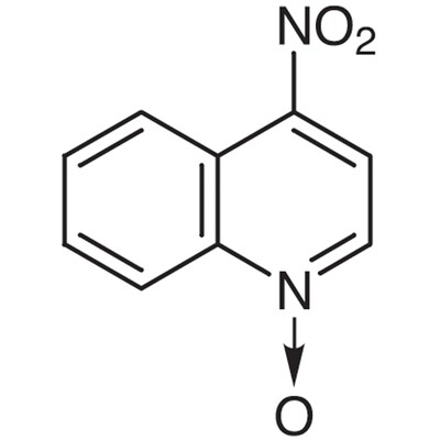 4-Nitroquinoline N-Oxide&gt;98.0%(HPLC)(T)1g