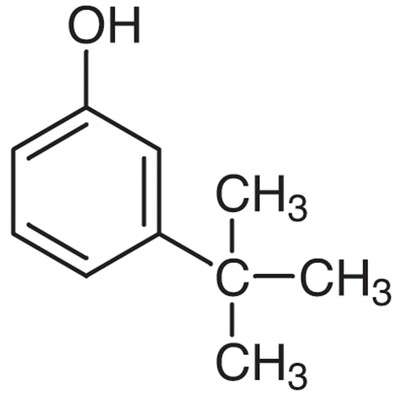 3-tert-Butylphenol&gt;98.0%(GC)25g