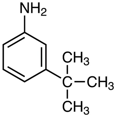 3-tert-Butylaniline&gt;98.0%(GC)(T)5g