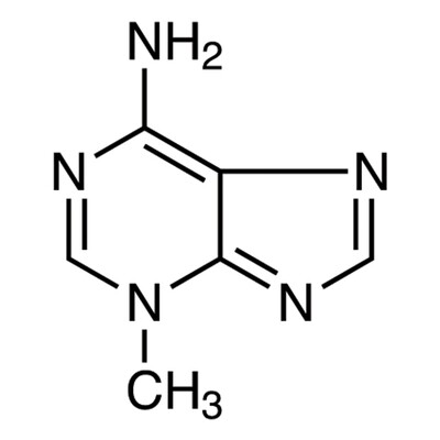 3-Methyladenine1g