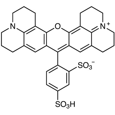 Sulforhodamine 101&gt;95.0%(HPLC)(N)200mg