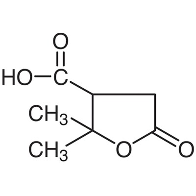 Terebic Acid&gt;98.0%(T)5g