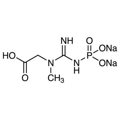 Sodium Creatine Phosphate&gt;98.0%(HPLC)1g