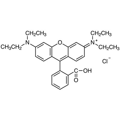 Rhodamine B [Ion association reagent for photometric and fluorimetric analysis]&gt;98.0%(T)1g