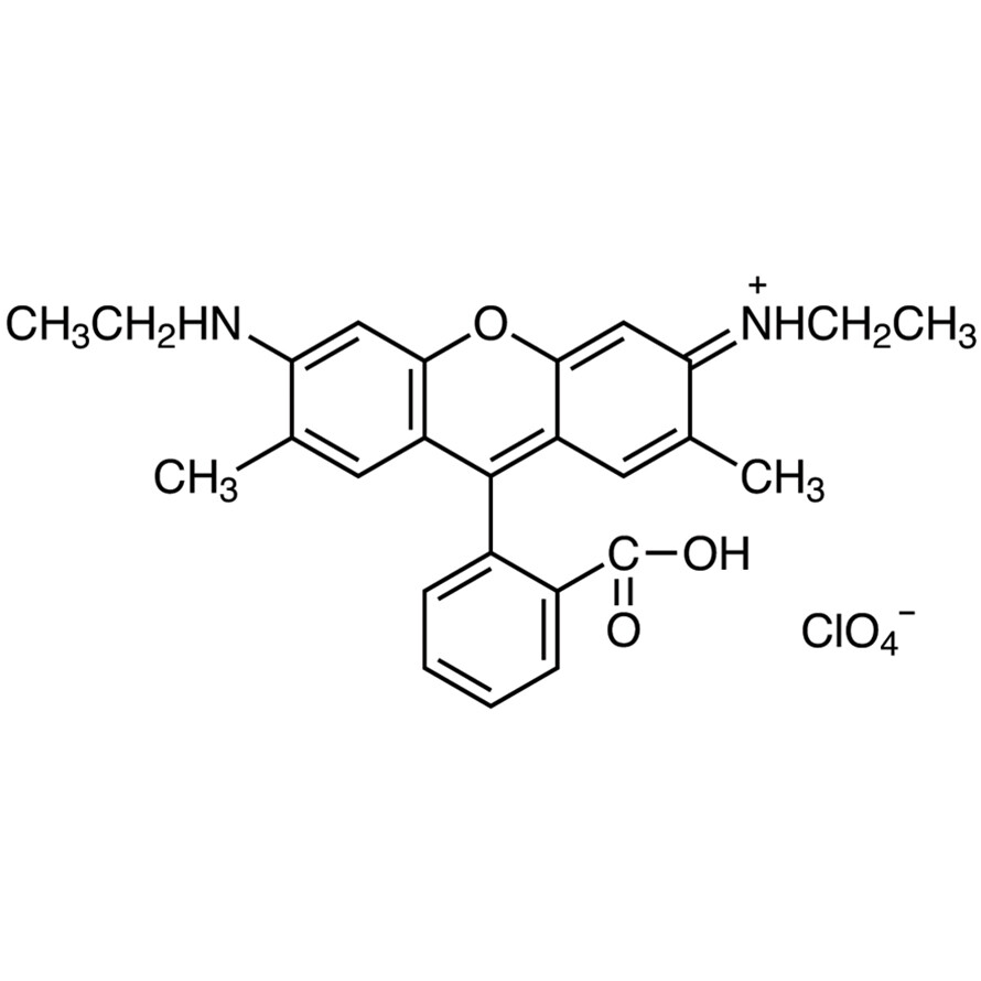 Rhodamine 19 Perchlorate>98.0%(HPLC)(N)1g