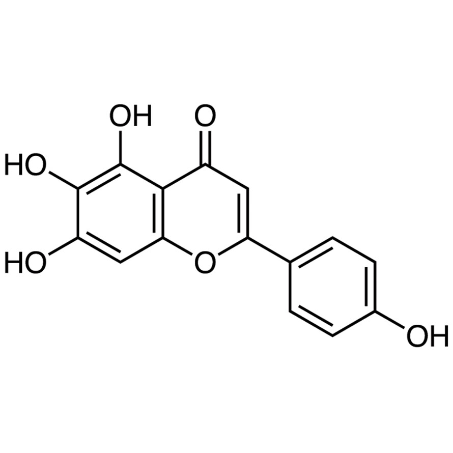 Scutellarein&gt;95.0%(HPLC)50mg
