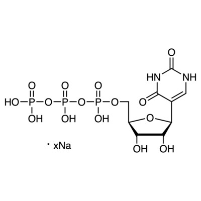 Pseudouridine 5&#39;-Triphosphate Sodium Salt (ca. 100mM in Water) [for transcription][for Molecular Biology]0.25mL