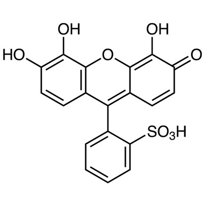 Pyrogallol Red [for Protein Research]&gt;95.0%(HPLC)1g