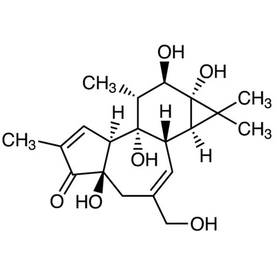 Phorbol&gt;98.0%(HPLC)25mg