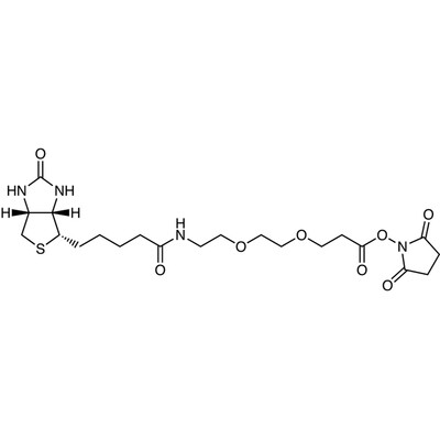 N-Succinimidyl 9-(Biotinamido)-4,7-dioxanonanoate&gt;90.0%(qNMR)25mg