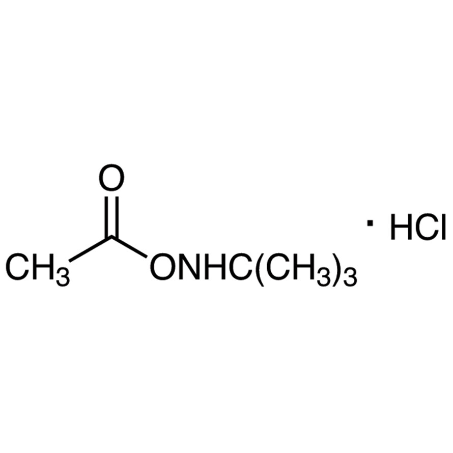 O-Acetyl-N-tert-butylhydroxylamine Hydrochloride&gt;98.0%(N)(T)1g