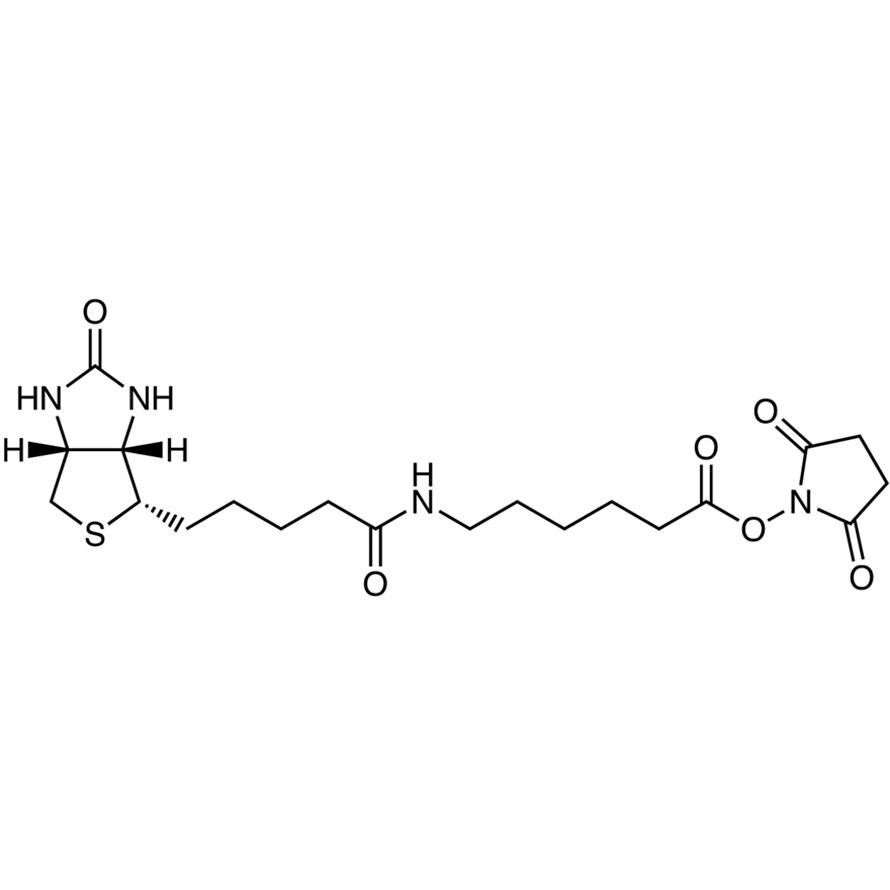 N-Succinimidyl 6-Biotinamidohexanoate&gt;97.0%(HPLC)100mg