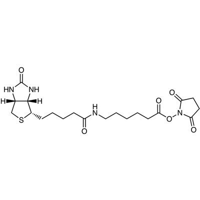 N-Succinimidyl 6-Biotinamidohexanoate&gt;97.0%(HPLC)100mg