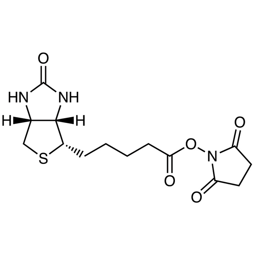 N-Succinimidyl D-Biotinate&gt;97.0%(HPLC)(N)100mg
