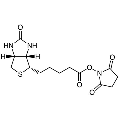 N-Succinimidyl D-Biotinate&gt;97.0%(HPLC)(N)100mg