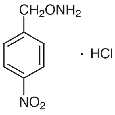 O-4-Nitrobenzylhydroxylamine Hydrochloride [for HPLC Labeling]&gt;99.0%(HPLC)1g
