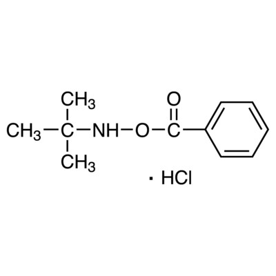 O-Benzoyl-N-tert-butylhydroxylamine Hydrochloride&gt;98.0%(HPLC)(N)1g