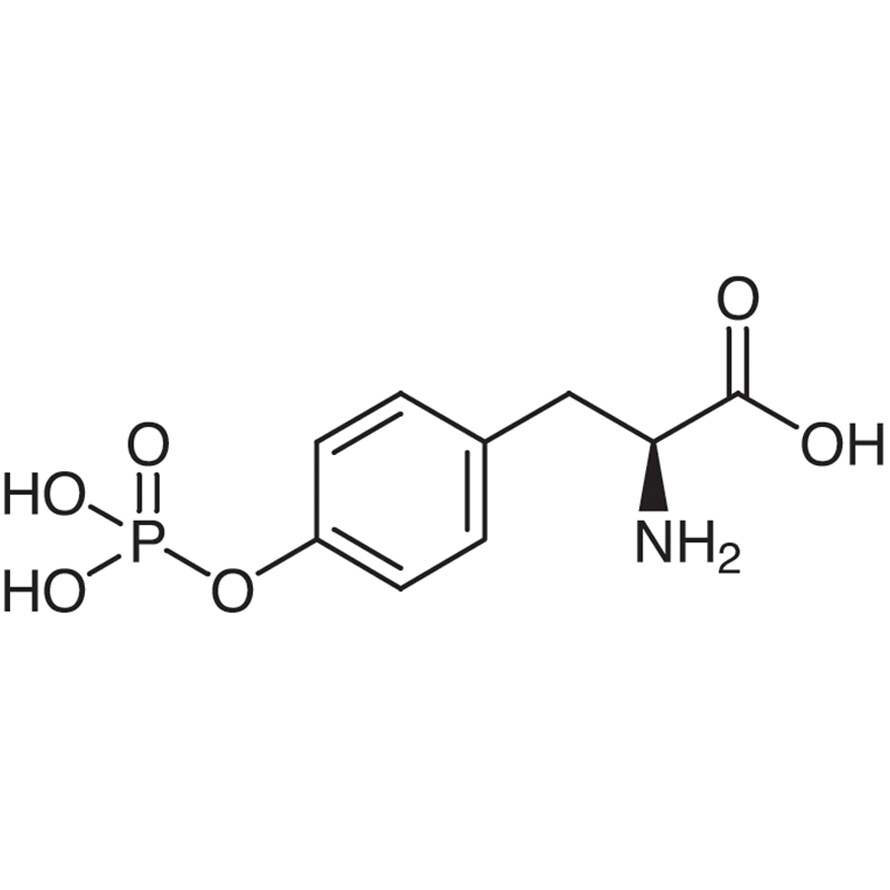 O-Phospho-L-tyrosine>97.0%(HPLC)(T)100mg