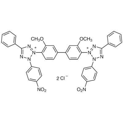 Nitro Blue Tetrazolium [for Biochemical Research]&gt;98.0%(HPLC)(T)100mg