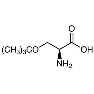 O-tert-Butyl-L-serine&gt;97.0%(HPLC)(T)5g
