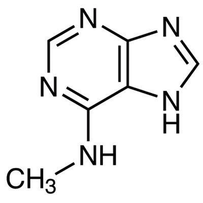 N-Methyl-7H-purin-6-amine&gt;98.0%(HPLC)(T)1g