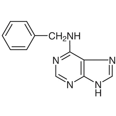 N6-Benzyladenine&gt;99.0%(HPLC)(T)5g