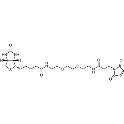 N-Biotinyl-N&#39;-(3-maleimidopropionyl)-3,6-dioxaoctane-1,8-diamine&gt;90.0%(HPLC)50mg