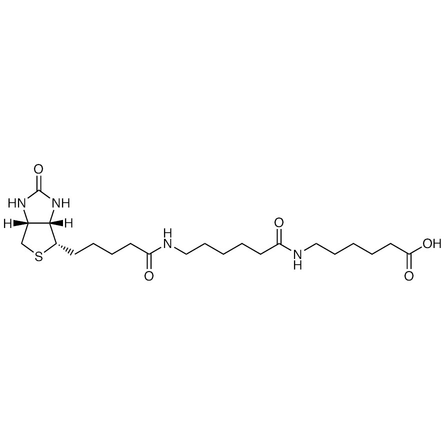 N-Biotinylcaproylaminocaproic Acid&gt;98.0%(T)100mg