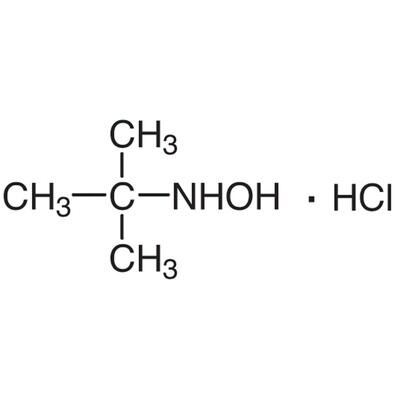 N-(tert-Butyl)hydroxylamine Hydrochloride&gt;98.0%(N)(T)1g