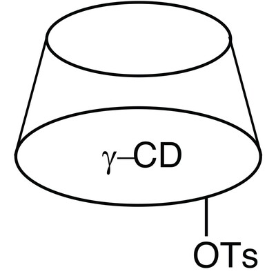 Mono-2-O-(p-toluenesulfonyl)-gamma-cyclodextrin&gt;95.0%(HPLC)1g