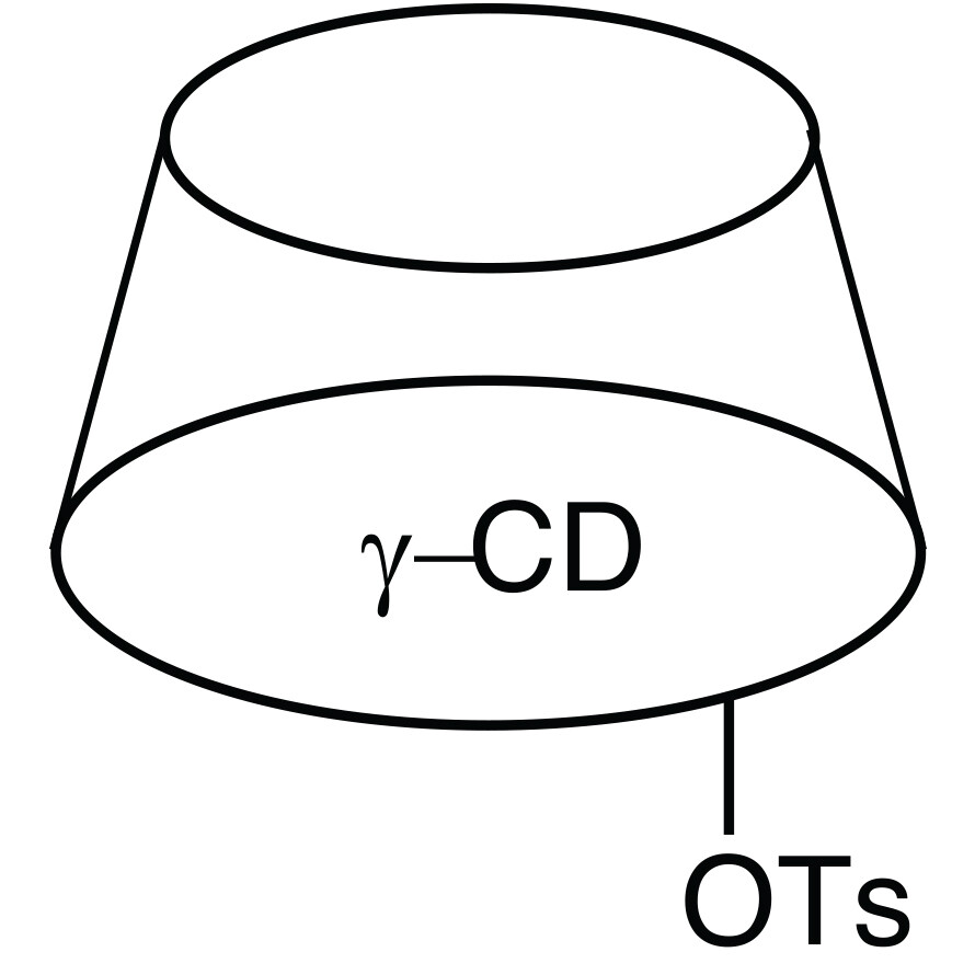 Mono-2-O-(p-toluenesulfonyl)-gamma-cyclodextrin>95.0%(HPLC)200mg
